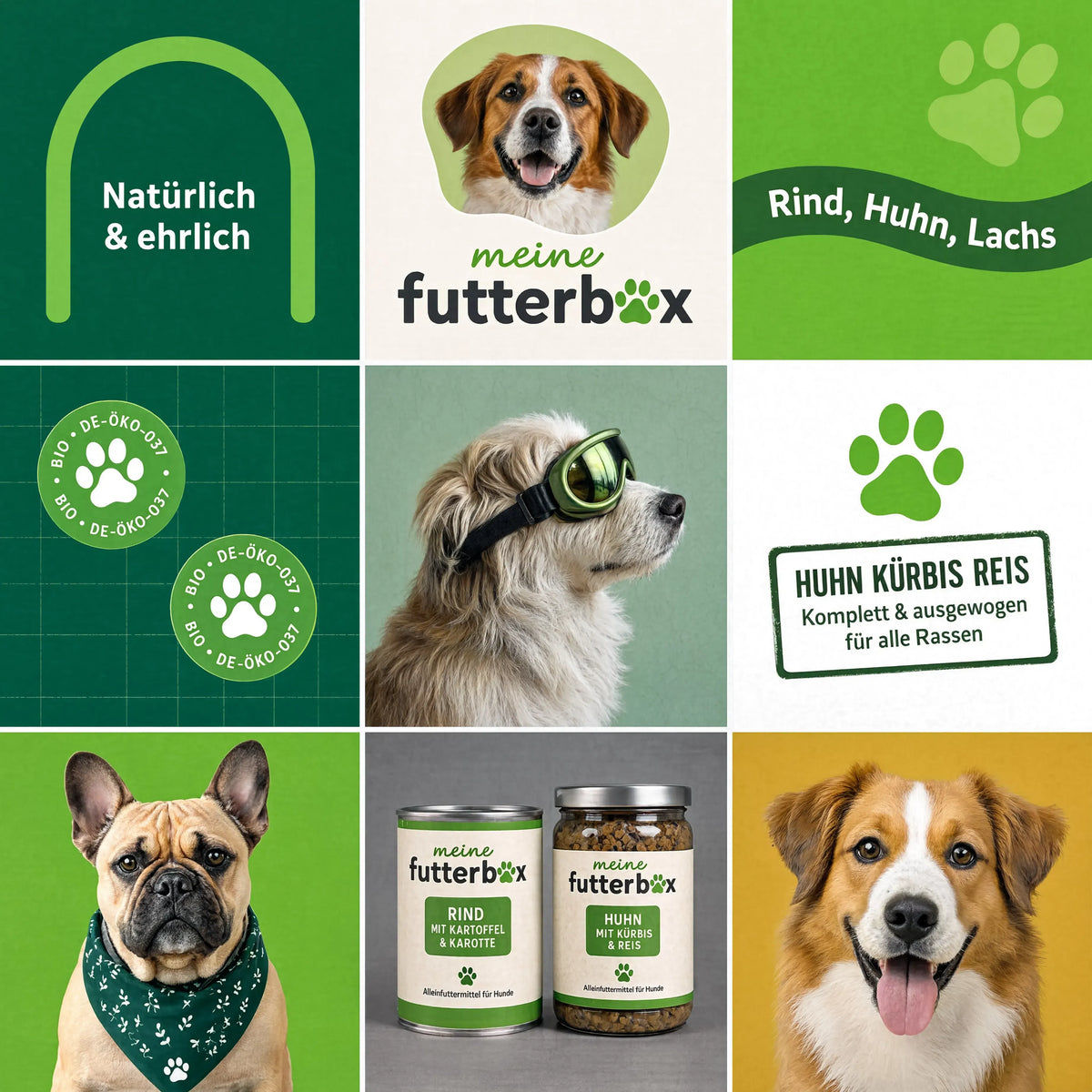 Futter Box