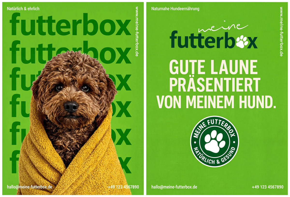 Futter Box