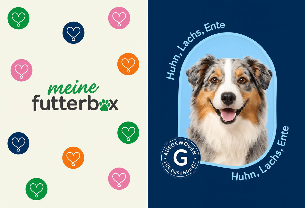 Futter Box