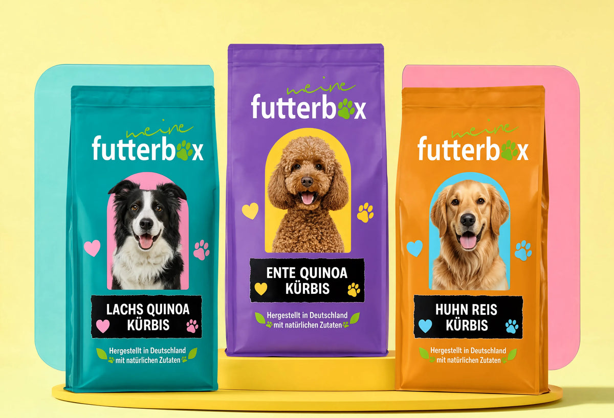 Futter Box