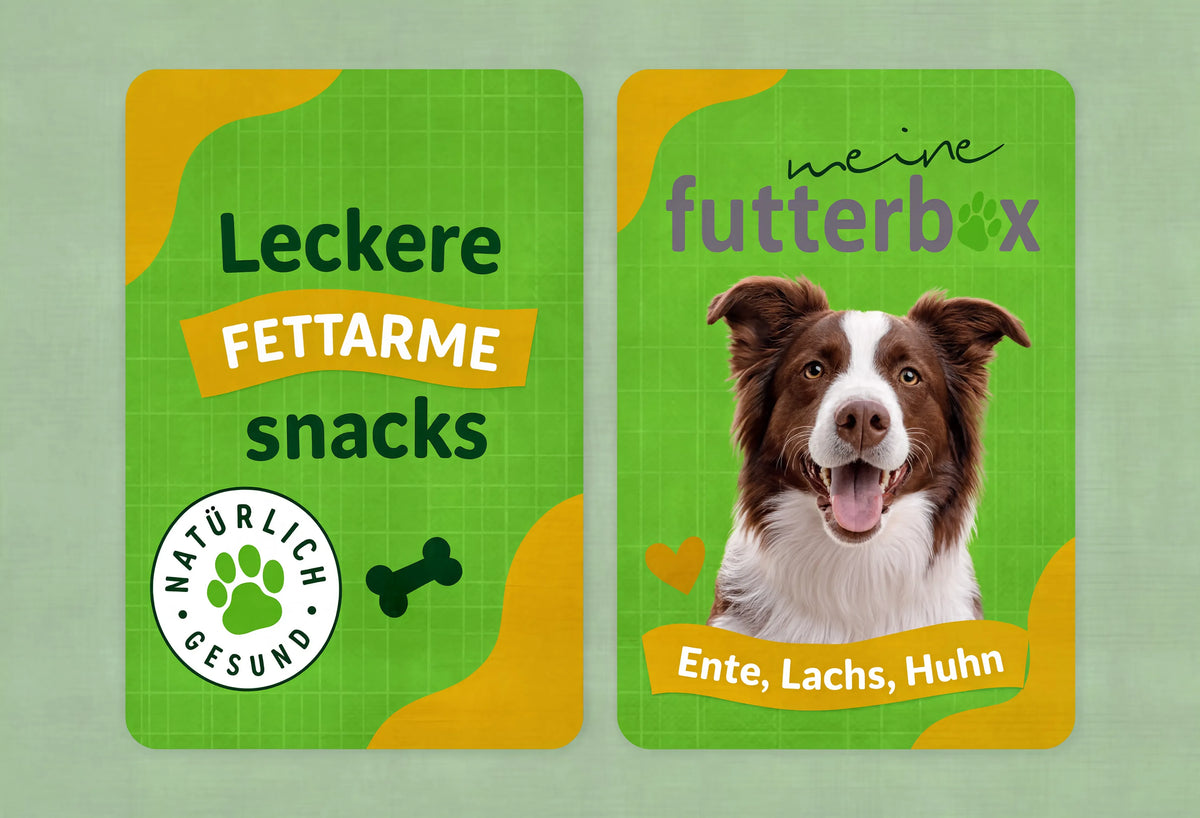 Futter Box