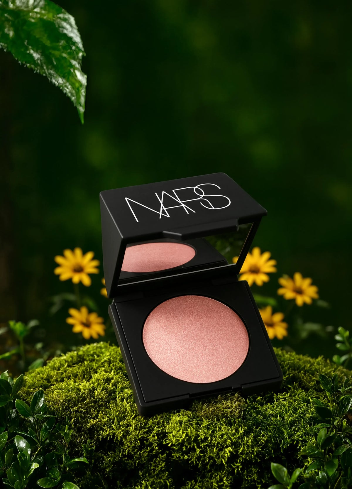NARS